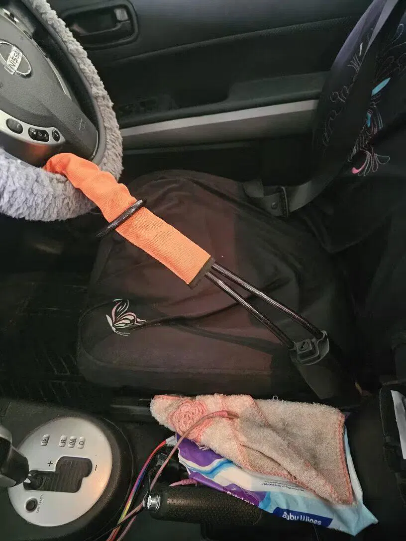 Skúsenosť používateľa AutoGuard