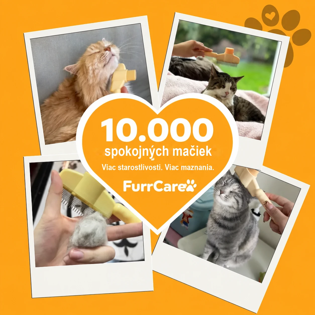 10.000 spokojných mačiek